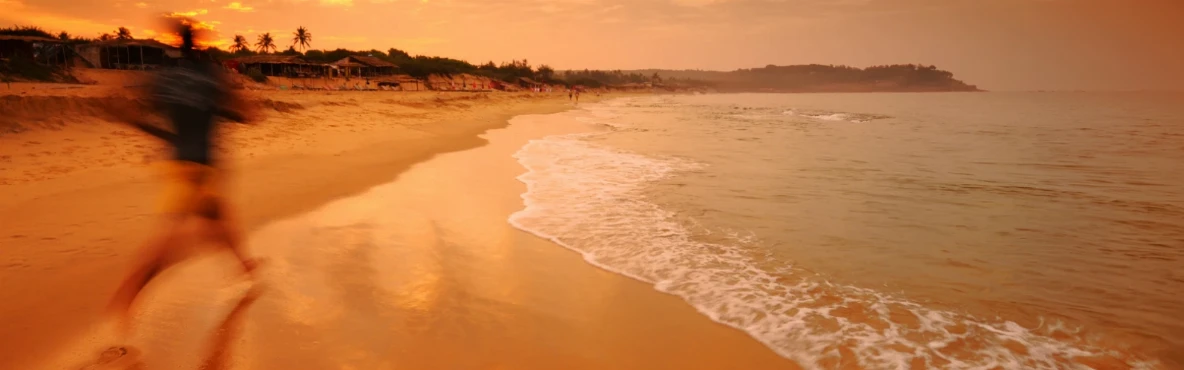 Cycle Through the Green Trails of Candolim Mornings