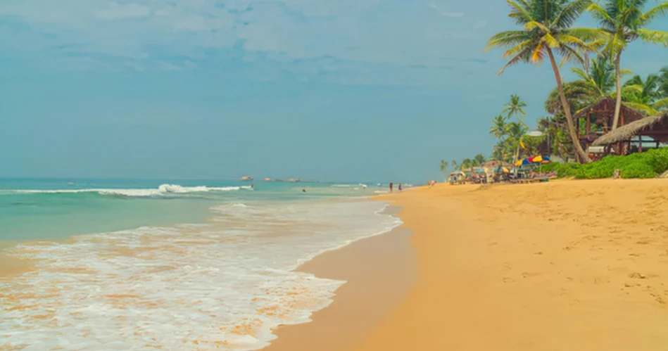 Best Outdoor Adventures in Candolim for Nature Lovers